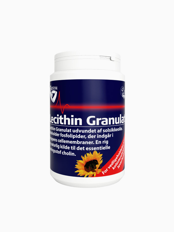 Lecithin Granulat 400G